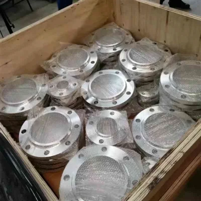 ASTM A182 F316 1.4401 1.4436 SS drsne prirobnice